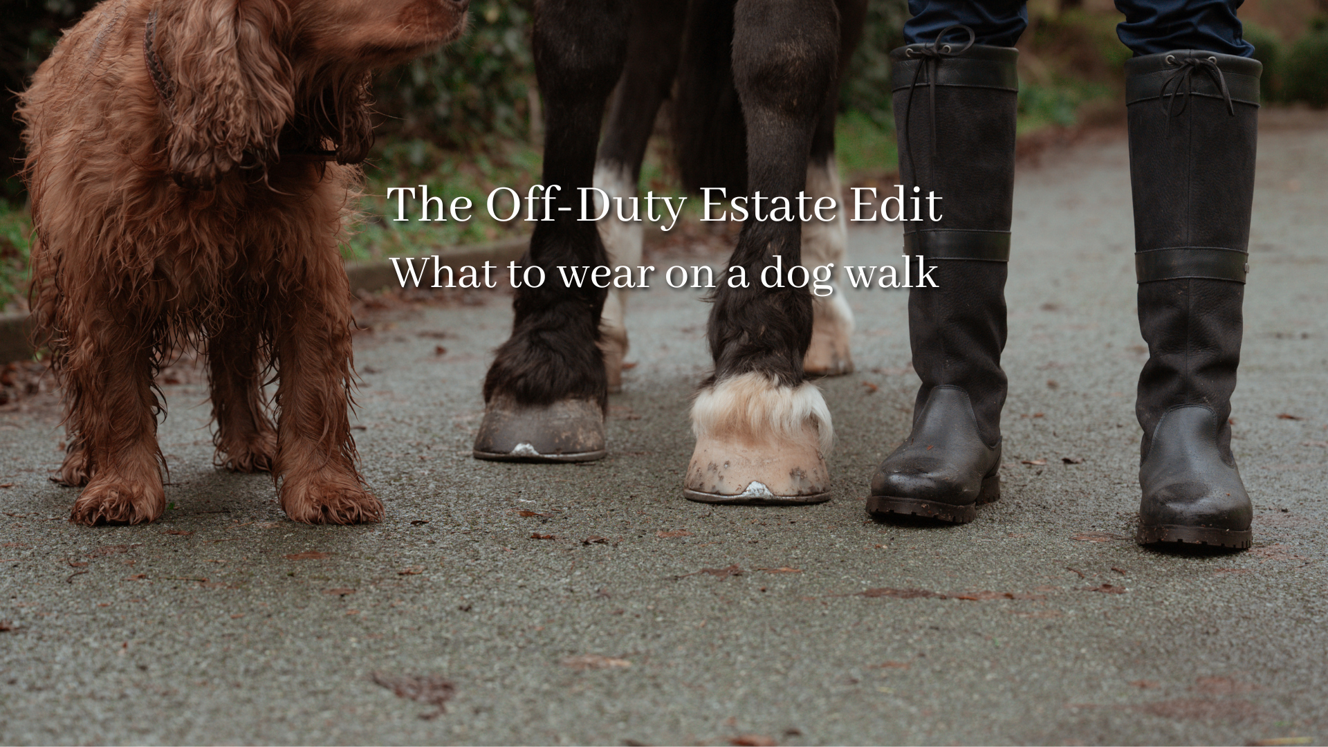 THE OFF-DUTY ESTATE EDIT: What to Wear on a Dog Walk