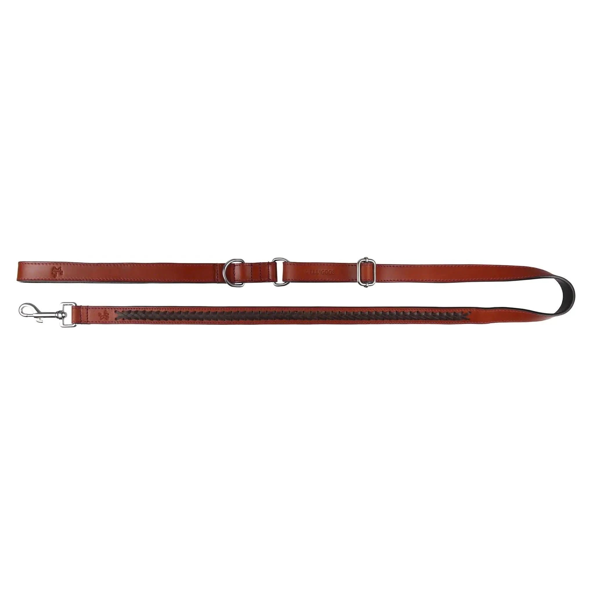Extendable Leather Dog Lead - Welligogs