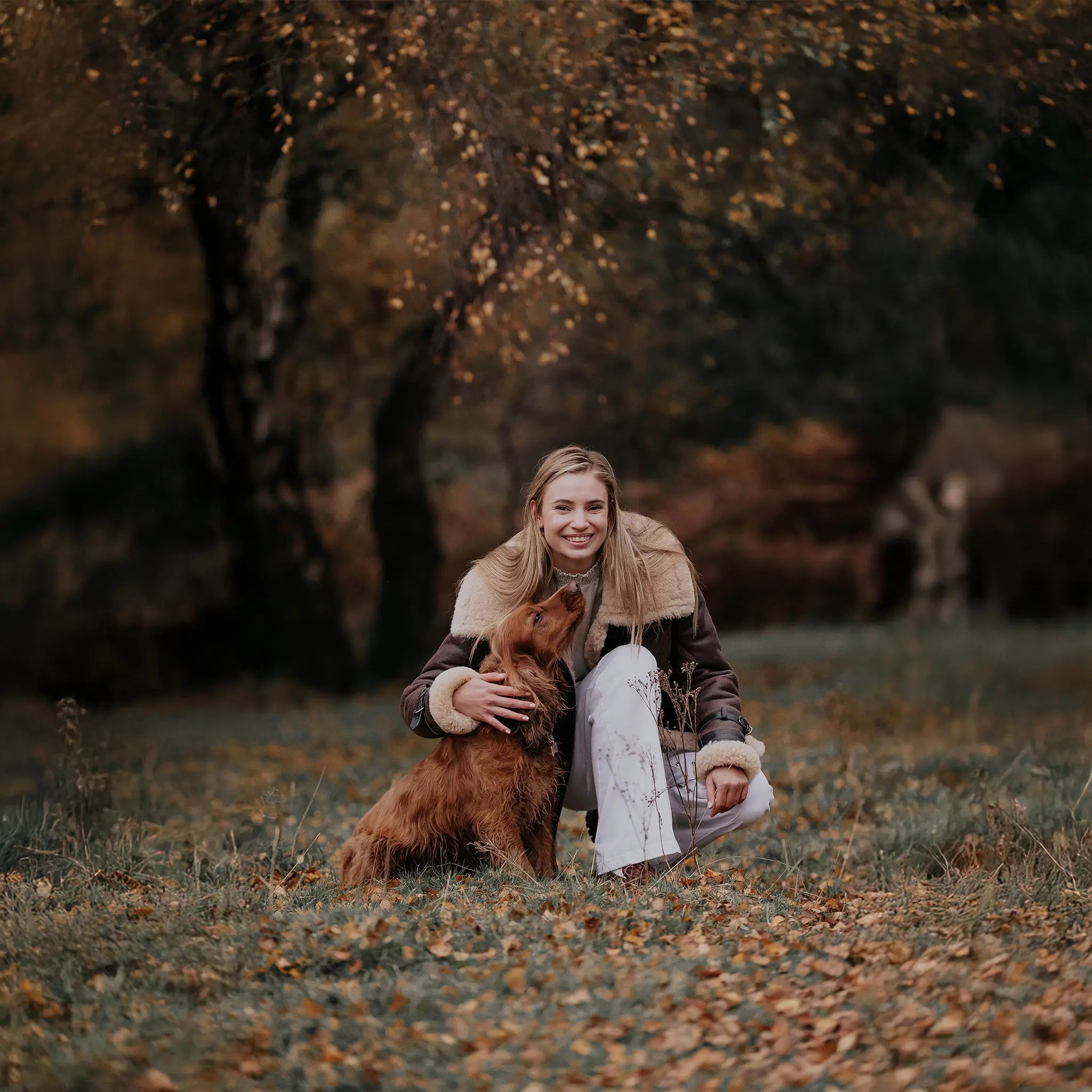Aviator Sheepskin Jacket - Welligogs