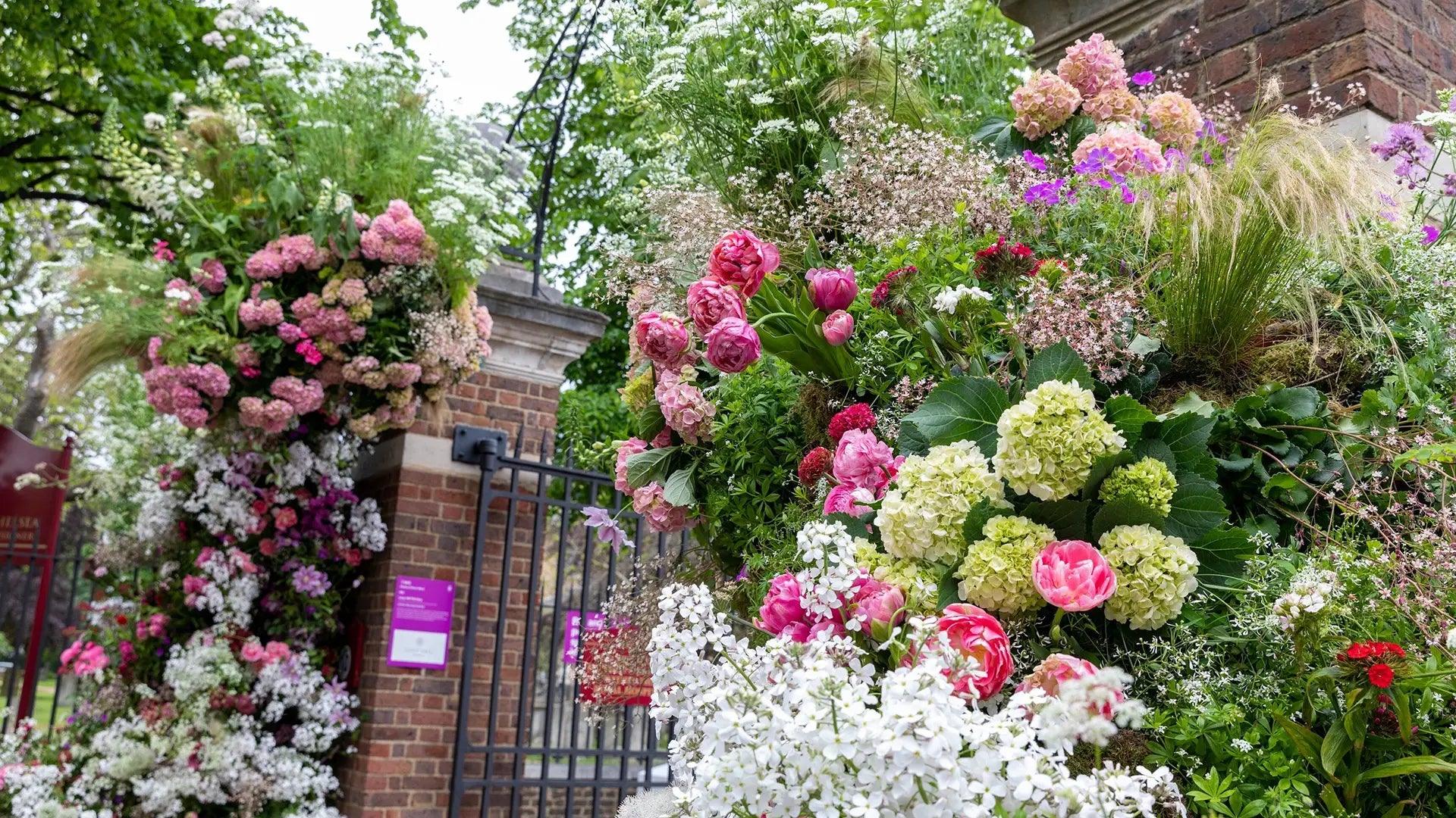 Style Guide: What To Wear to the Chelsea Flower Show? Let’s Find Out.