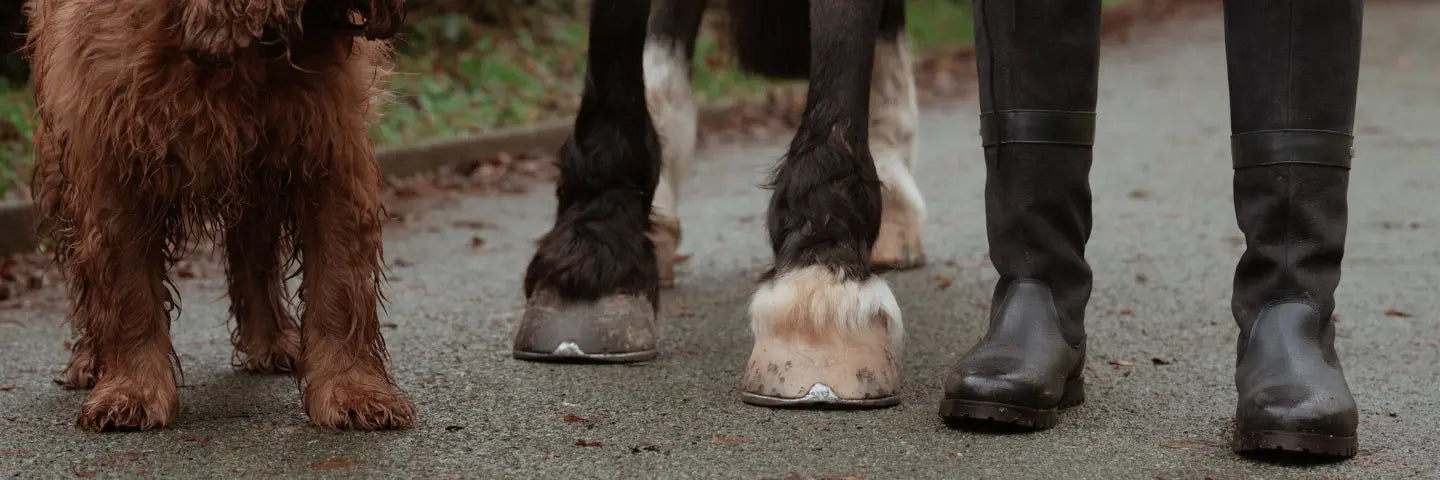 Waterproof Boots