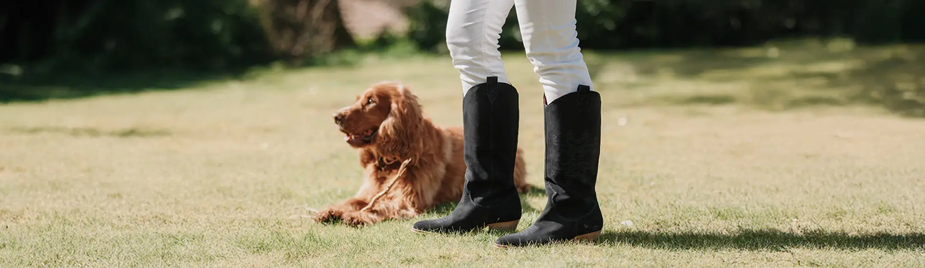 Knee High Boots for Women