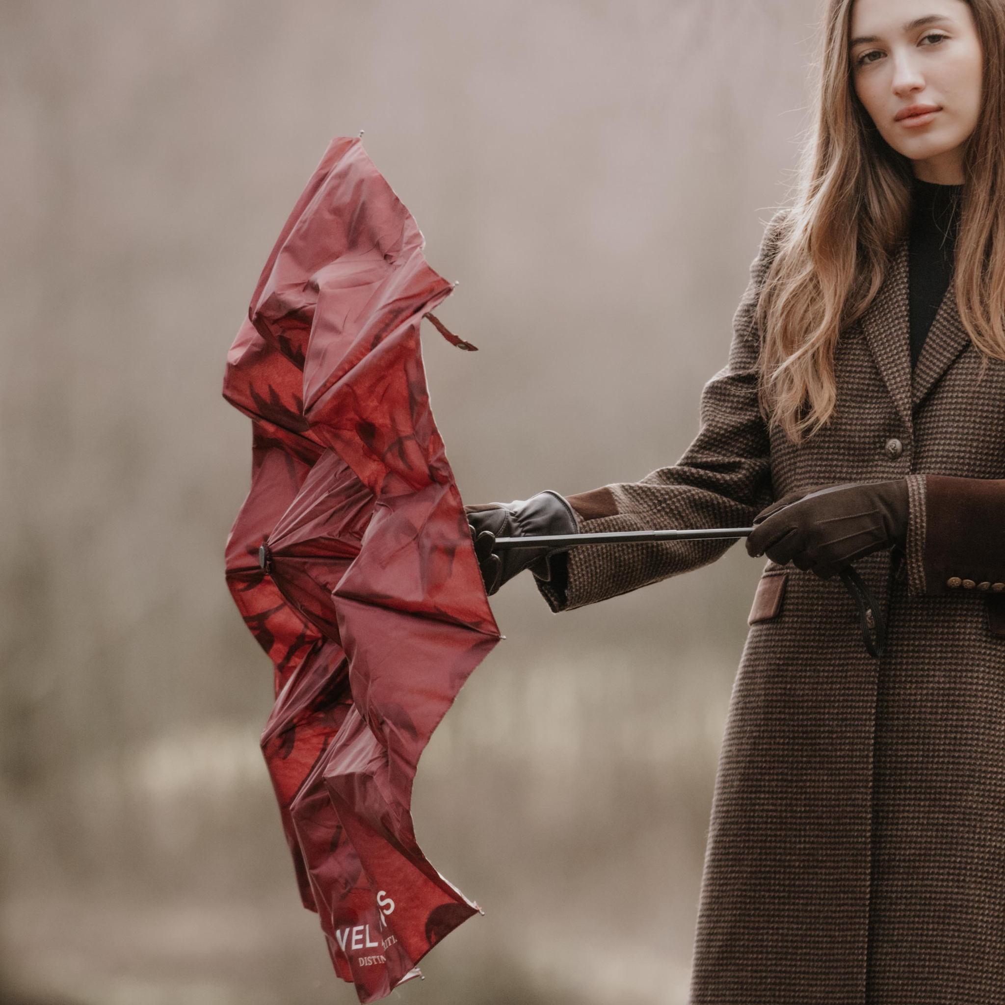 Collapsible Umbrella