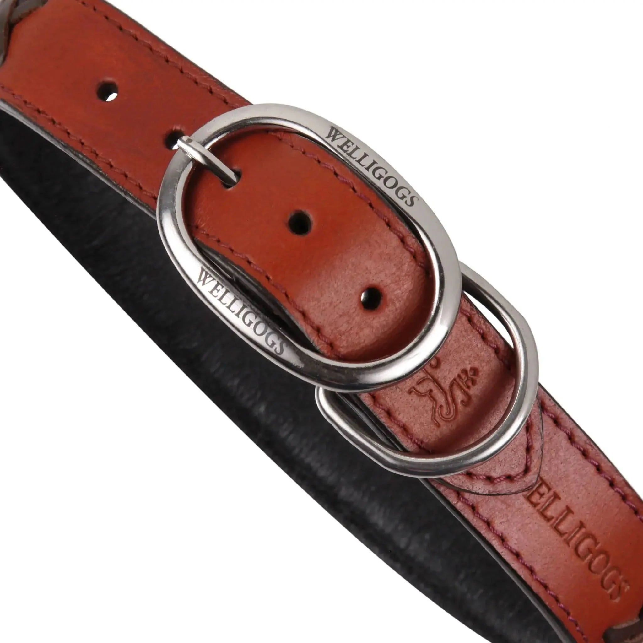 Leather Dog Collar - Welligogs