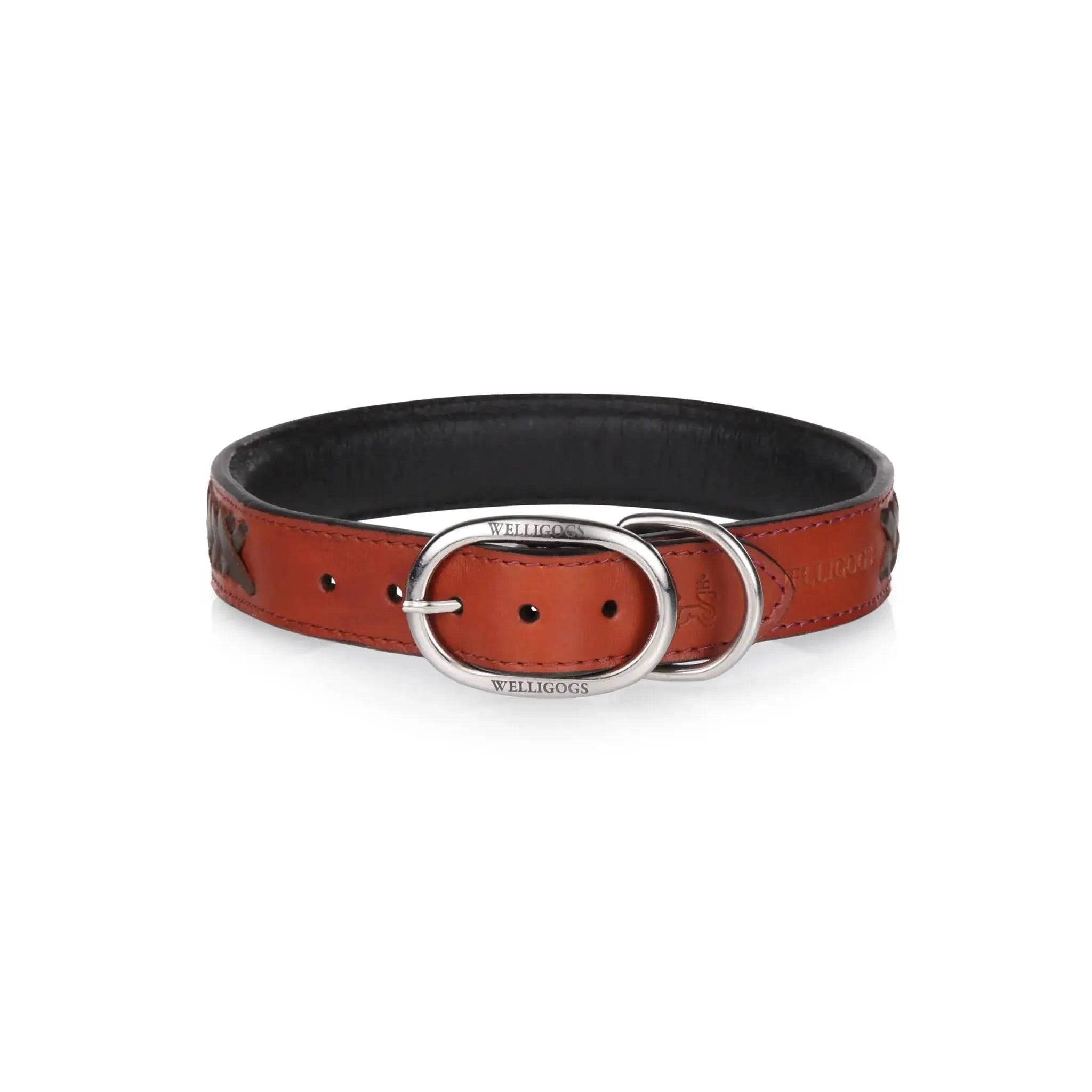 Leather Dog Collar - Welligogs