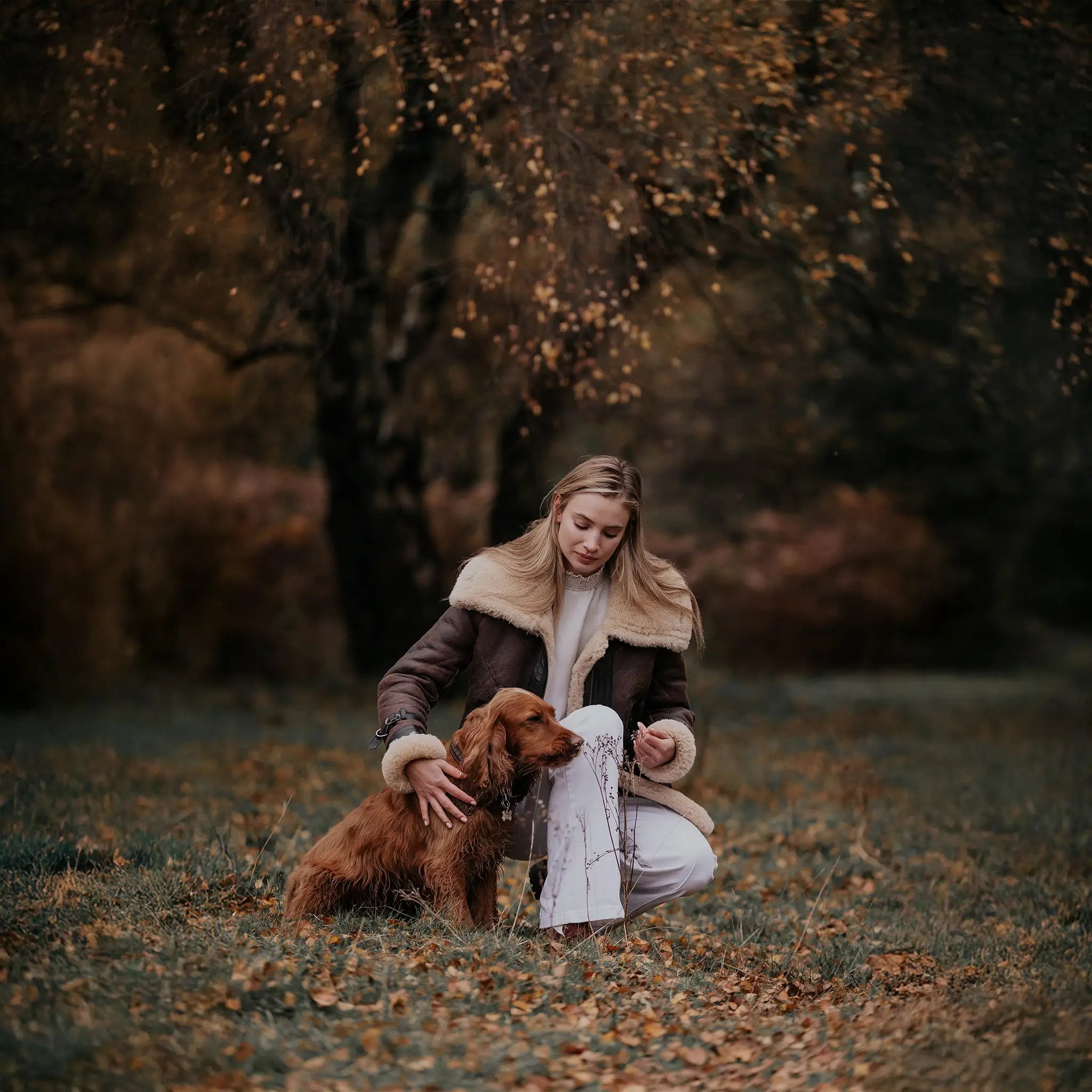 Aviator Sheepskin Jacket