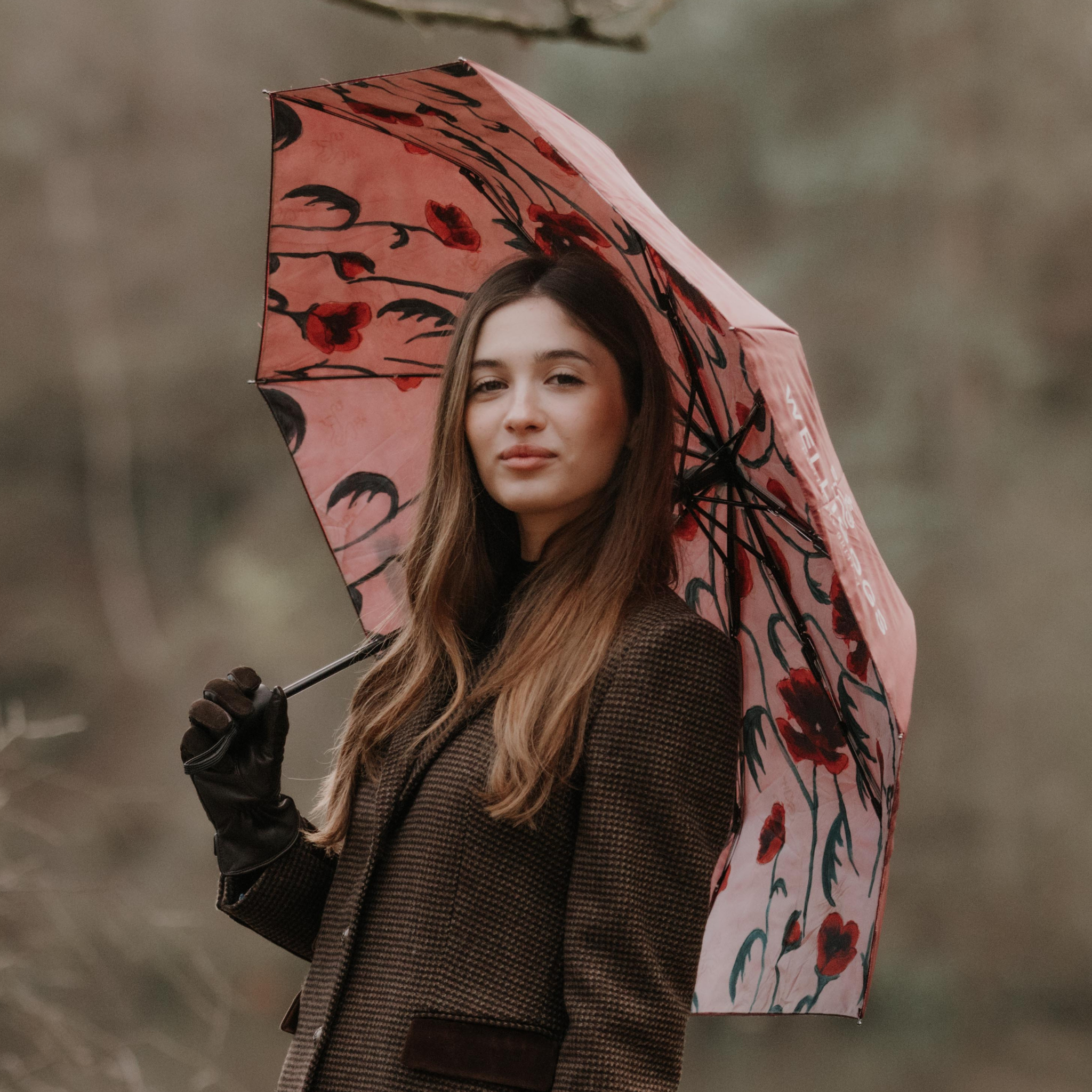 Collapsible Umbrella