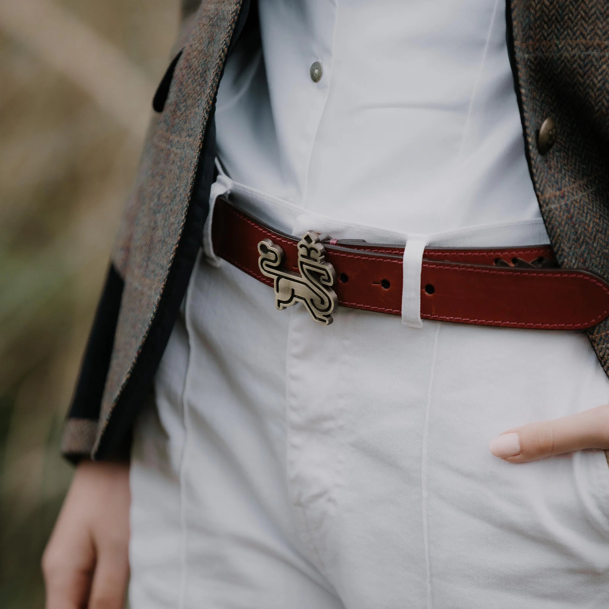 Lion Belt Navy & Tan - Welligogs